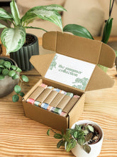 Load image into Gallery viewer, deluxe summer collection box | full size soap sampler set

