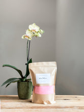 Load image into Gallery viewer, island bloom sugar scrub | sunlit florals &amp; grapefruit
