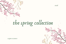 Load image into Gallery viewer, deluxe spring collection box | full size soap sampler set
